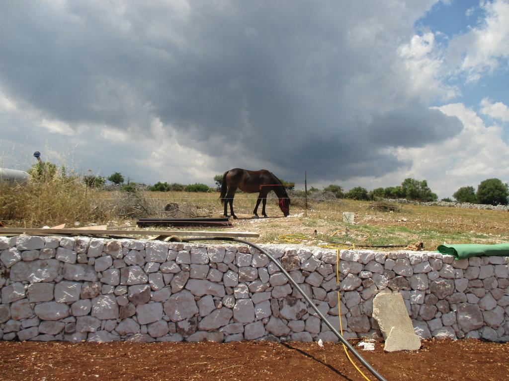 Le Mangiatoie Del Re Giordano Villa อาโวลา ภายนอก รูปภาพ